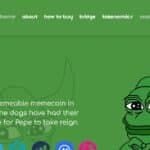 What is Pepe Coin? ​How It Works & Its Features 2024 Review