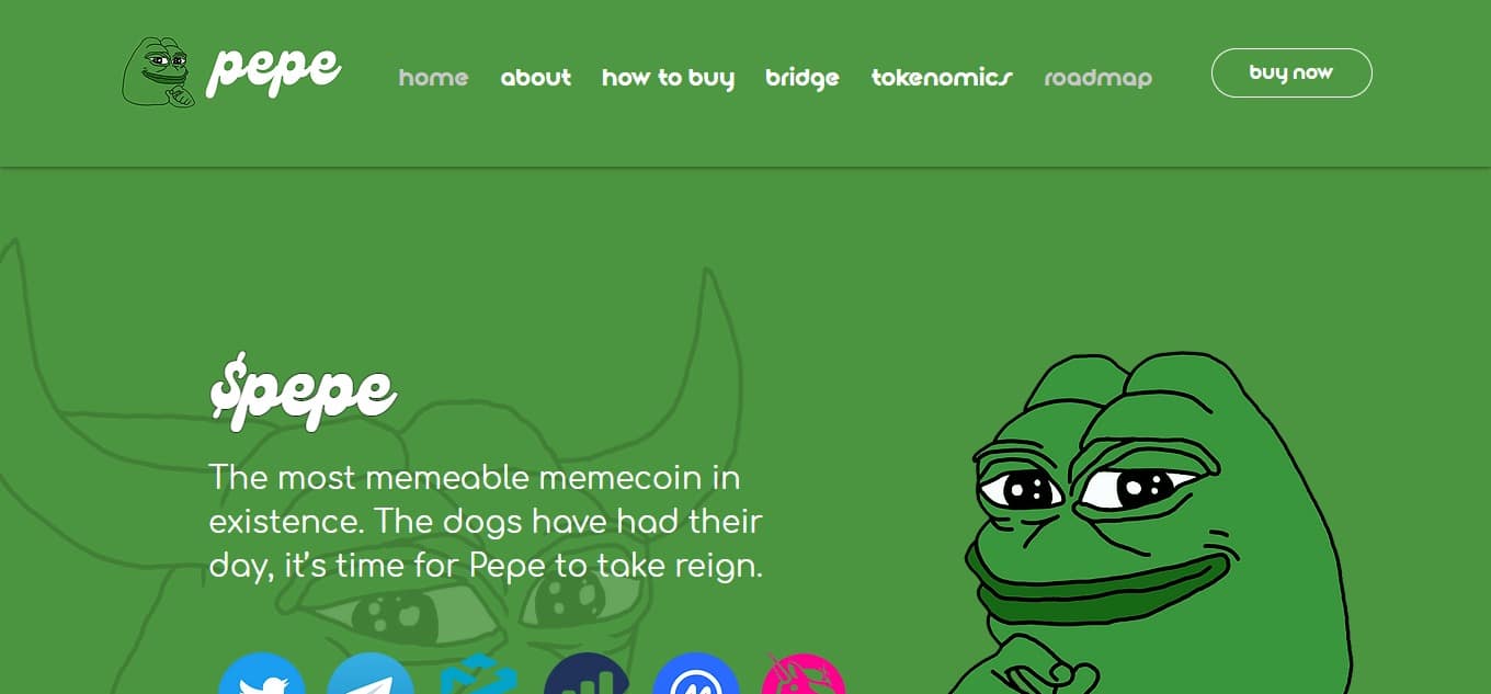 What is Pepe Coin? ​How It Works & Its Features 2024 Review