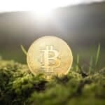Why Is Crypto Crashing And Will It Recover?