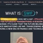 What is Dogwifhat? ​How It Works & Its Features 2024 Review