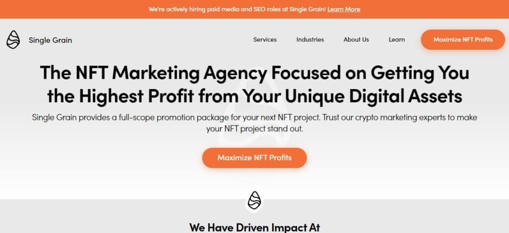 Single Grain NFT Influencer Agency