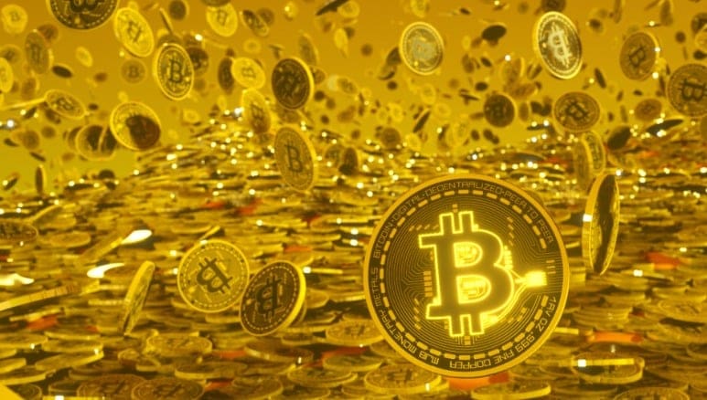 How To Read Crypto Trading Charts