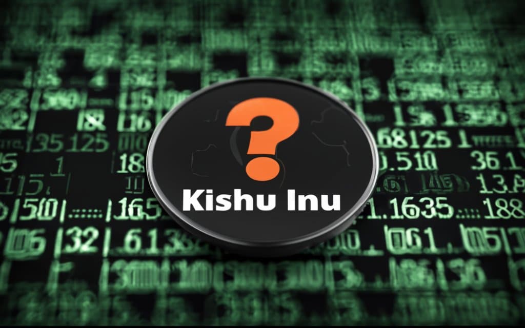 What is Kishu Coin? How It Works & Its Features 2024 Review 4 Is Kishu Coin safe?