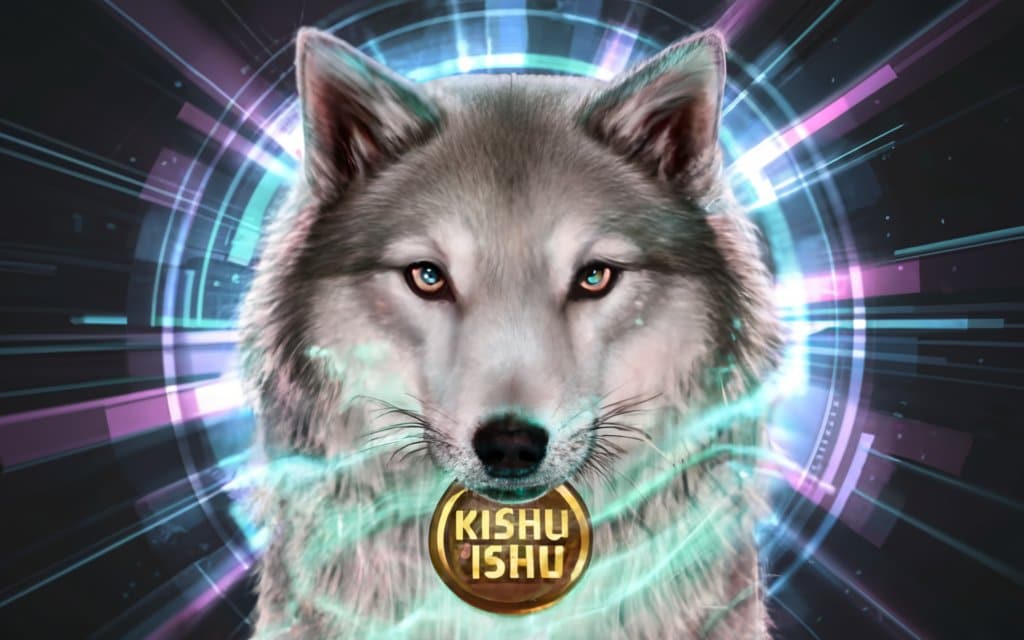 What is Kishu Coin? How It Works & Its Features 2024 Review 2 What is Kishu Inu?