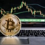 How To Know Which Crypto Will go Up Today