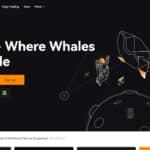 BloFin Exchange Review: Features & Pros & Cons For 2024