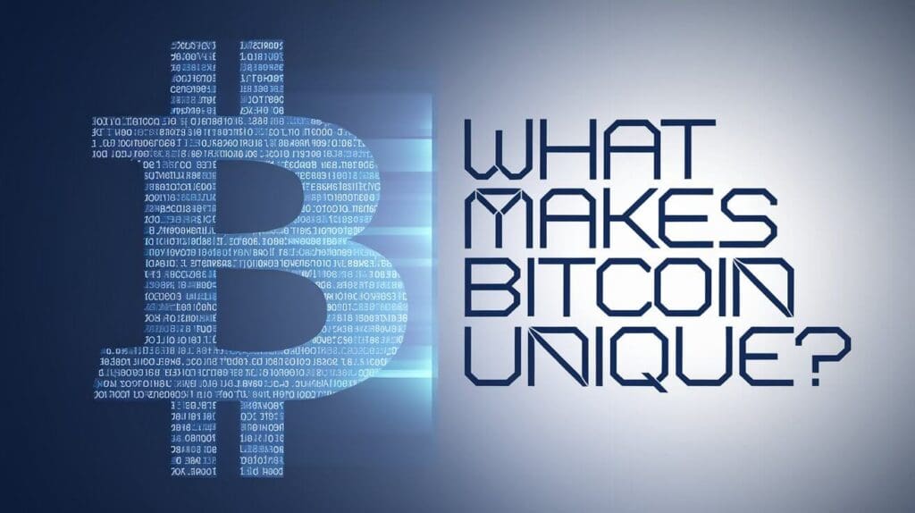 Bitcoin Price Prediction 2024 to 2030: Read Our Full Review 3 What Makes Bitcoin Unique?