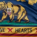 What is Bear Flag: Read Our Full Review
