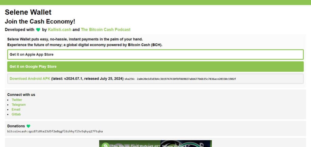 Selene Wallet Bitcoin Cash Wallet