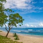 10 Best Crypto Exchanges in Vanuatu