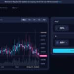 Raydium Exchange Review: Features & Pros & Cons For 2024