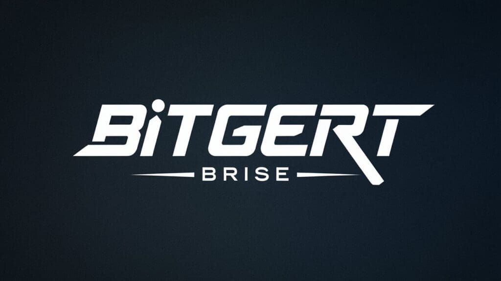 What Is Bitgert (BRISE)