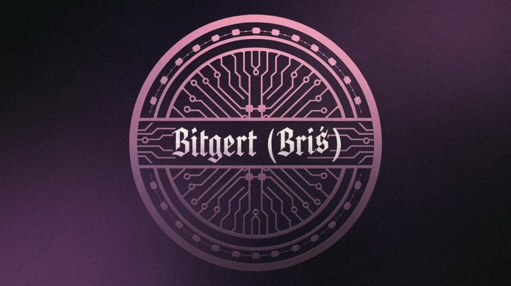 Who Are the Founders of Bitgert?