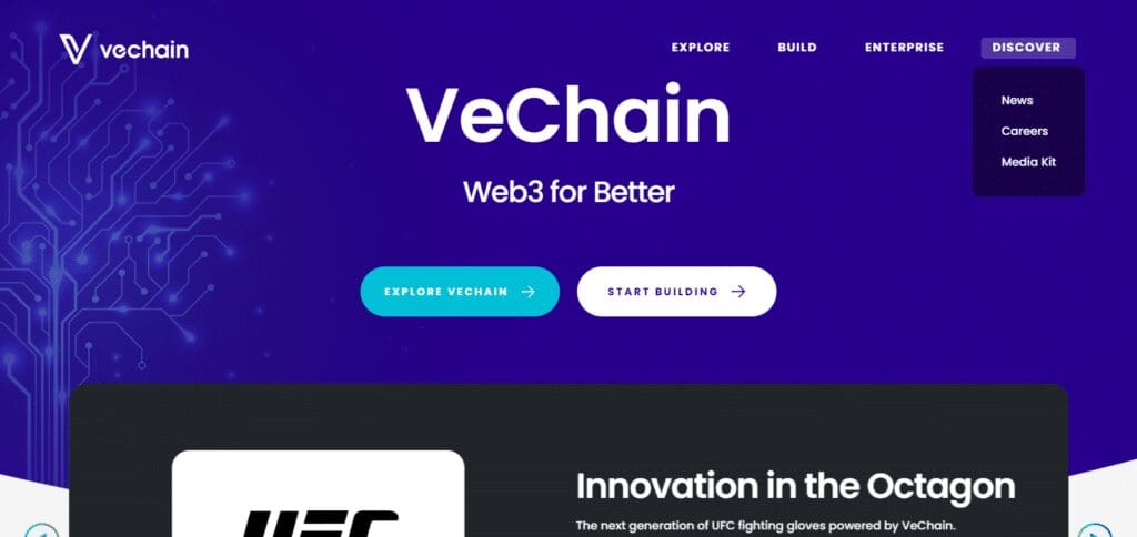 What is Vechain?