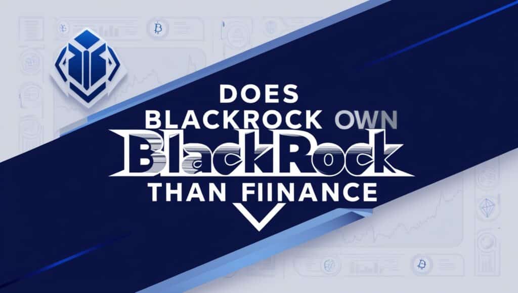Does Blackrock Own More BTC Than Binance 3 Why is the issue of the large holders of Bitcoin so important?