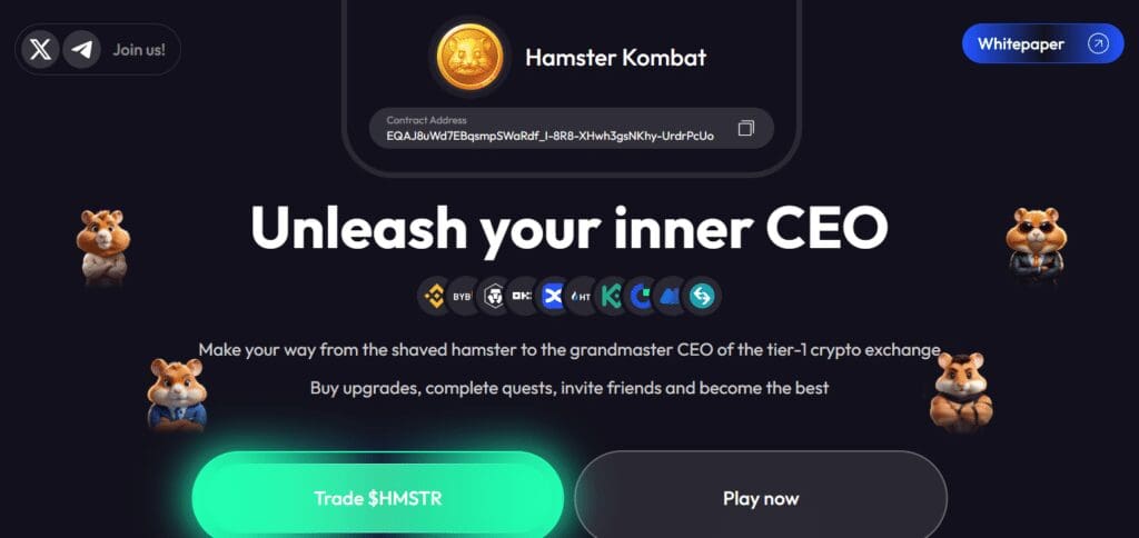 Is HMSTR Listed on Bybit? | Bybit HMSTR Availability and Trading Info 2 What is HMSTR?