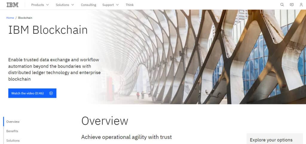 IBM Blockchain Services Blockchain Advisors