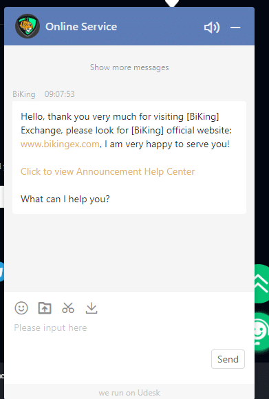 Bikingex Exchange Review 2024: Features, Fees, and Security Overview 7 Bikingex Customer Support