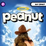 What is Peanut the Squirrel? ​How It Works & Its Features 2024 Review