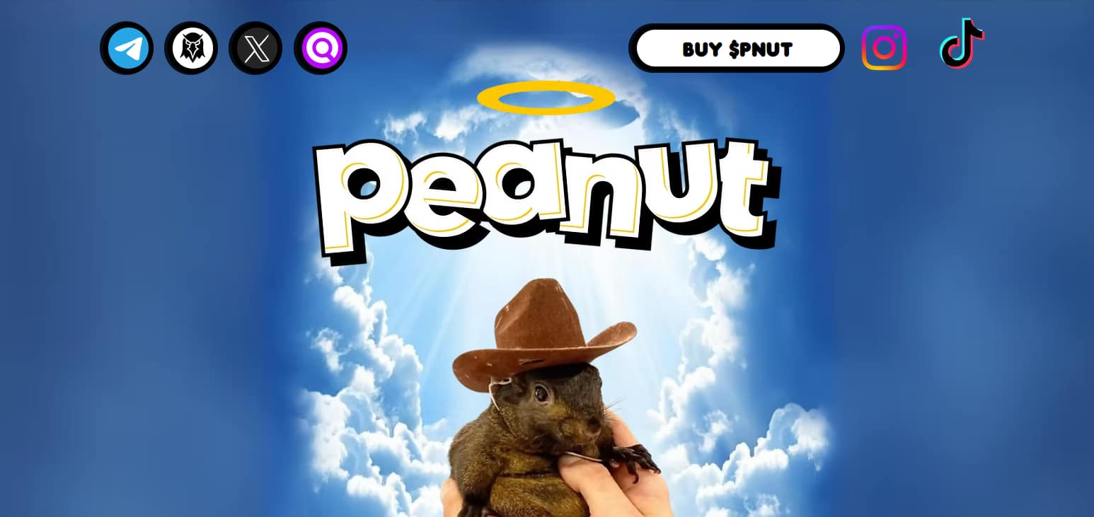 What is Peanut the Squirrel? ​How It Works & Its Features 2024 Review