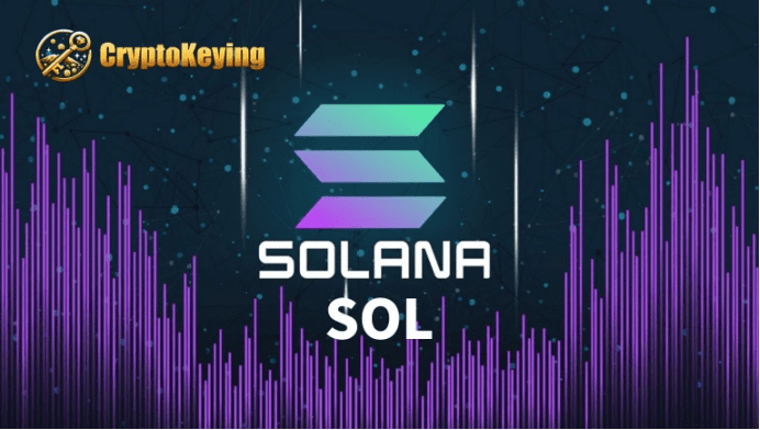 Solana (SOL) Starts Mining Bitcoin, Earn Upto $5,000 a Day