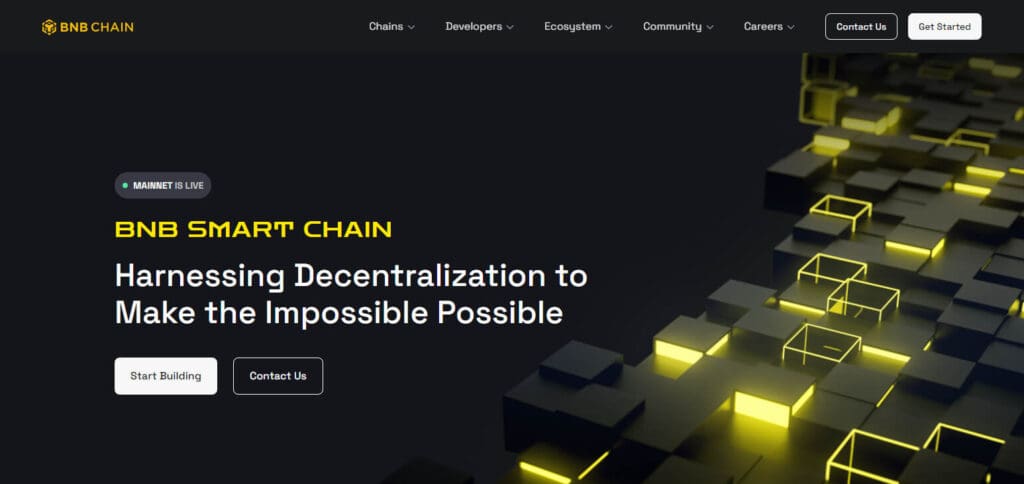 10 Leading Blockchain Ecosystems 7 Binance Smart Chain