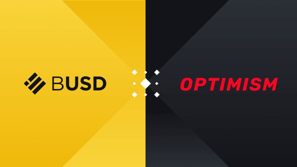 Binance-Peg BUSD (BUSD) Top Fiat-Backed Stablecoins