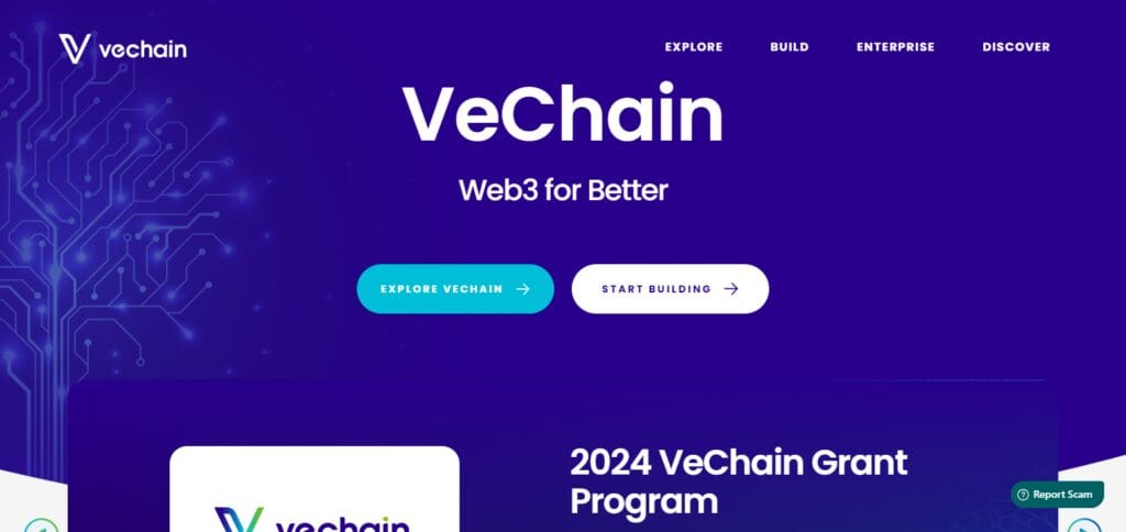 VeChain 