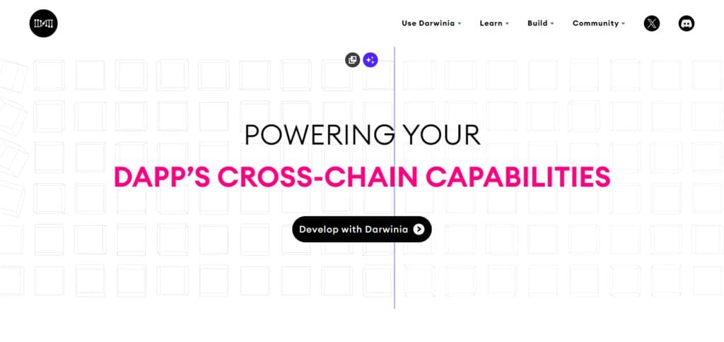 Darwinia Network