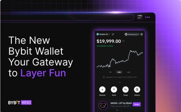 What Is Bybit Wallet Extension?