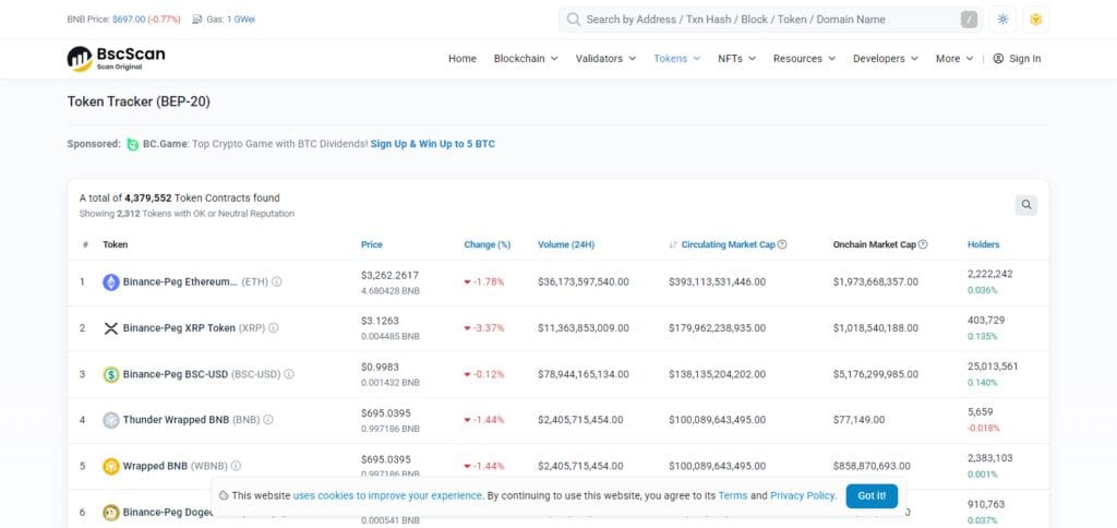 What is BSC Tokens?