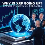 Why Is XRP Going Up? Expert Insights on the Surge