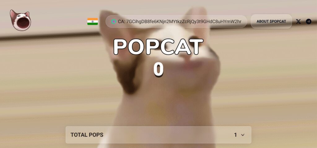 10 Best High-Risk Meme Coins with Cult Followings 10 Popcat