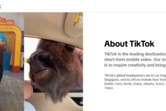 How To Create TikTok Ads for Brand Awareness: A Step-by-Step Guide