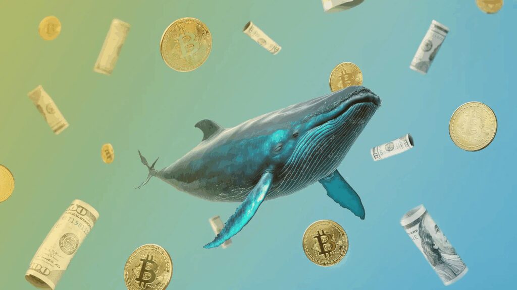 How to Identify Whales On-Chain: A Simple Guide 2 What is Crypto Whales ?