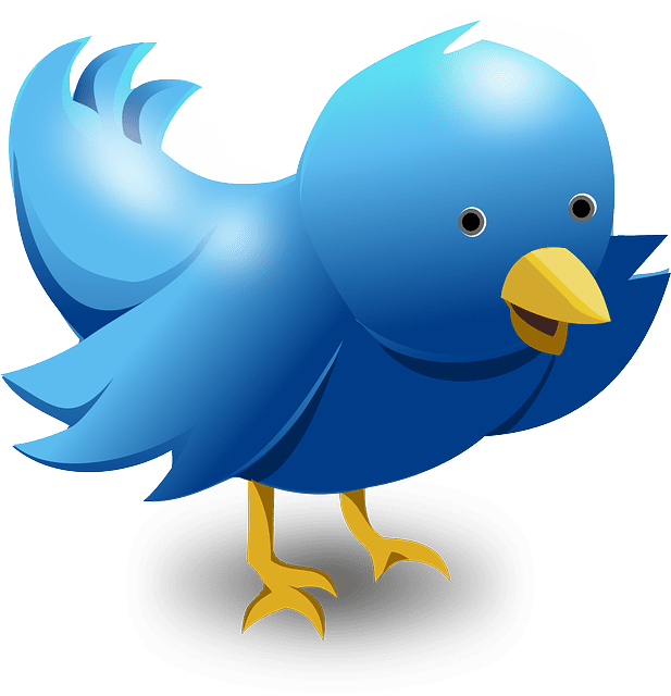 10 Best Twitter Spaces Hosts To Follow – Top Voices You Should Listen To
