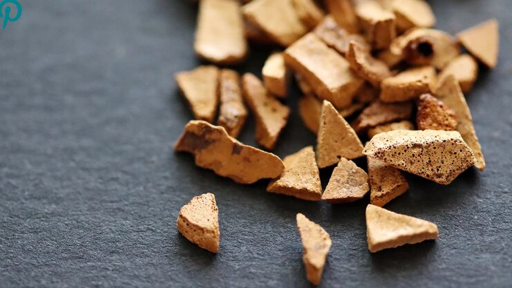 11 Healthy Coffee Alternatives 3 Chicory Root Coffee
