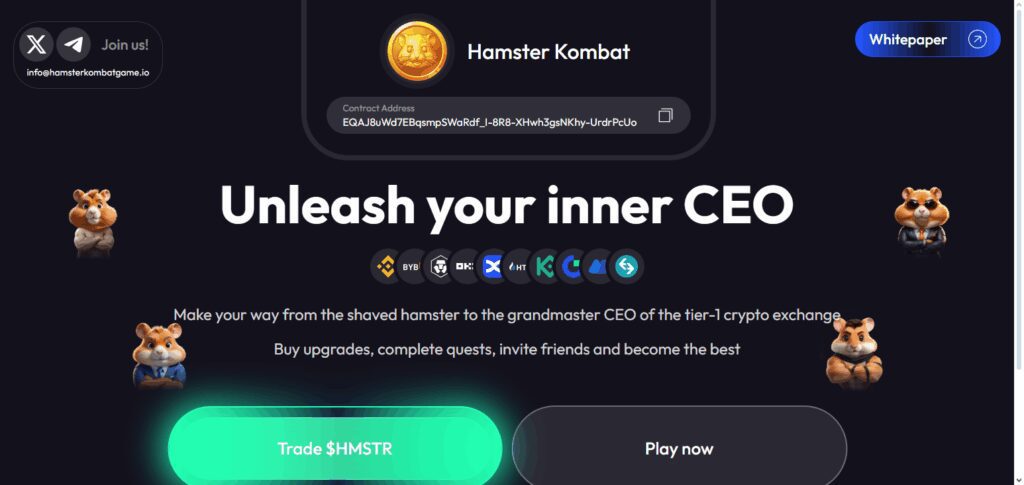 MUTM Crypto: Latest Insights, Price & Market Trends 4 Hamster Kombat