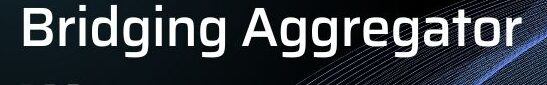 How to Spin Up a Bridging Aggregator Dev Environment 2 What is Bridging Aggregator ?