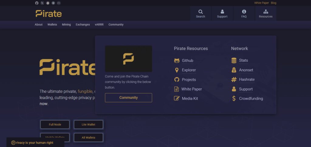 10 Best Alternatives to Bitcoin for Privacy-Focused Transactions 8 Pirate Chain (ARRR)
