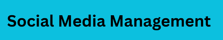  Social Media Management