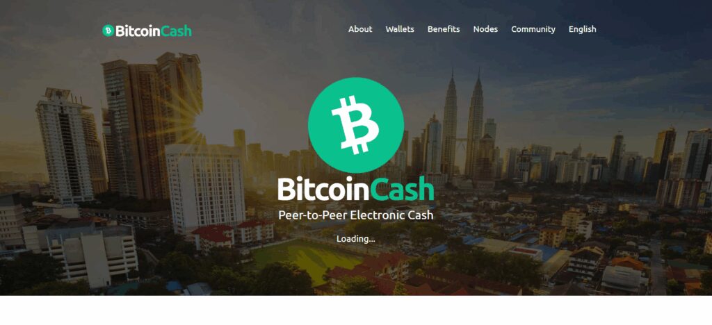 Bitcoin Cash (BCH)