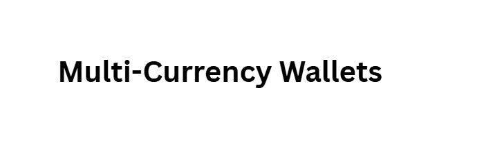 Multi-Currency Wallets