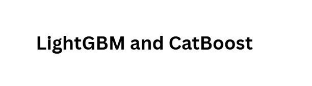 10 Best Predictive Spending Algorithms Used by Next-Gen Banks 6 LightGBM and CatBoost