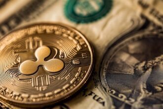 10 Best Platforms for Tokenized U.S. T-Bills in 2026