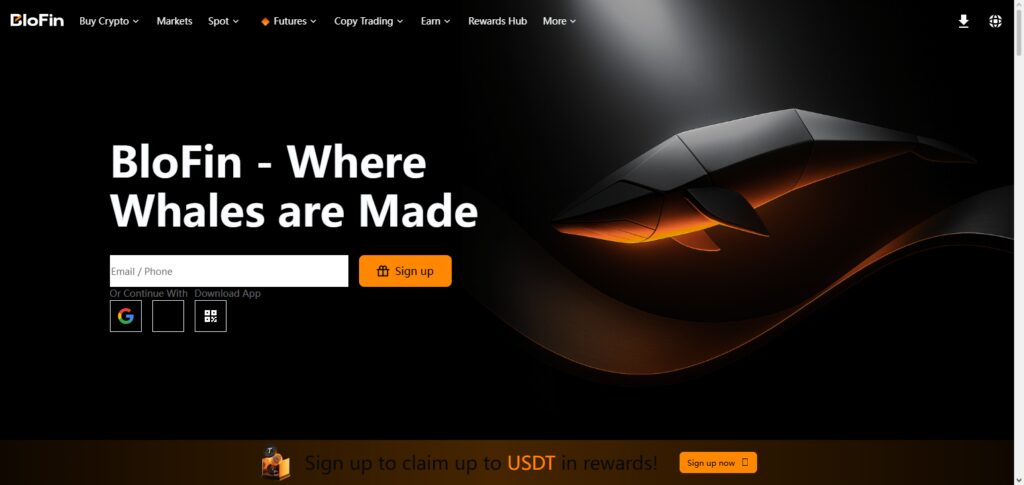10 Best Tether (USDT) Prepaid Cards in 2026 10 BloFin Card
