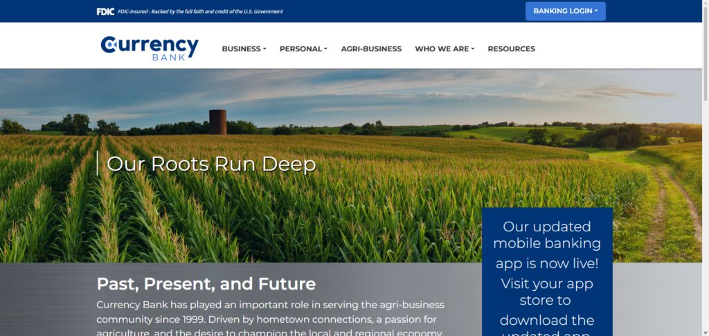 10 Best Equipment Financing Companies in the USA (2026 Guide) 7 Currency Finance