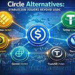 10 Circle Alternatives: Stablecoin Issuers Beyond USDC
