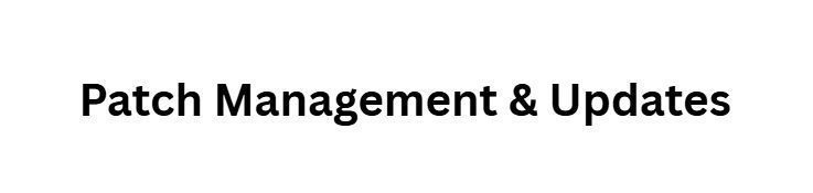 10 Essential Cybersecurity Solutions Every Small Business Needs 10 Patch Management & Updates