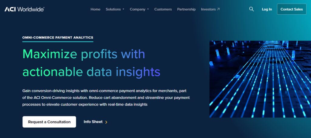 10 Best Tools for BIN-Level Payment Optimization 7 ACI Worldwide BIN Analytics